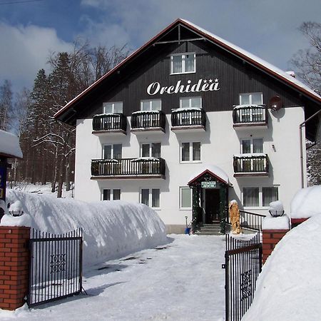 Orchidea Bed and Breakfast Szklarska Poręba Exteriör bild