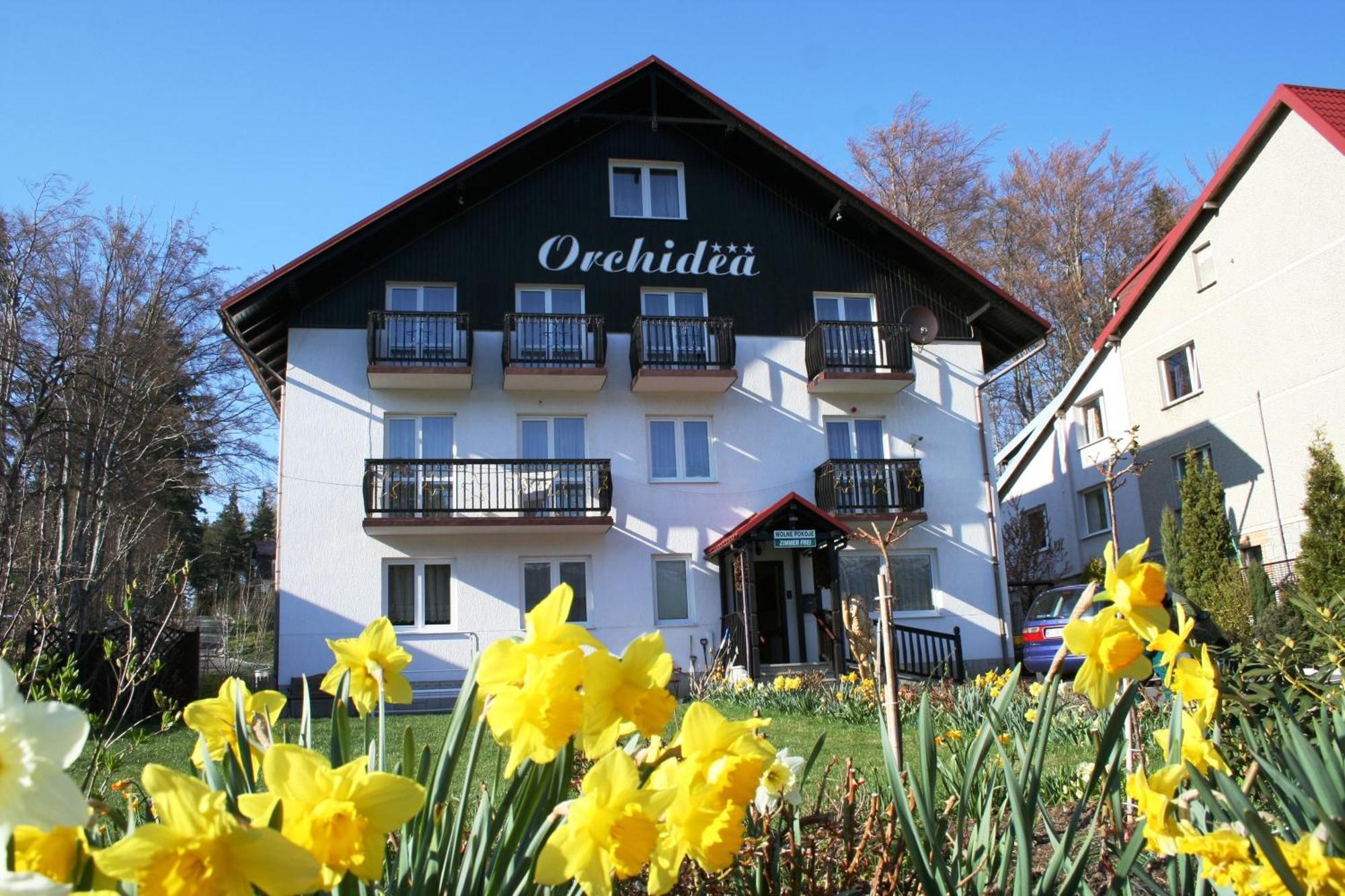 Orchidea Bed and Breakfast Szklarska Poręba Exteriör bild